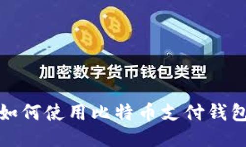 如何使用比特币支付钱包