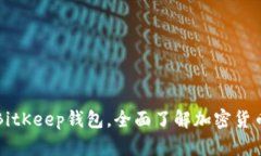 下载BitKeep钱包，全面了解