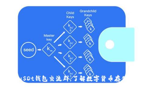 加入uSDt钱包交流群，了解数字货币存储和交易