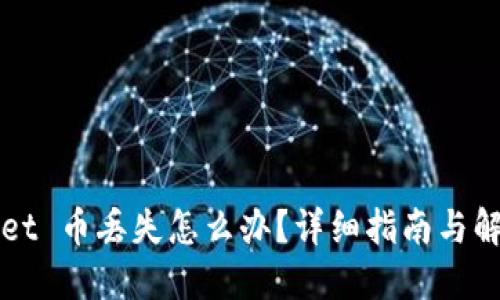 TPWallet 币丢失怎么办？详细指南与解决方案
