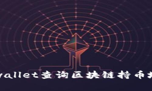 如何通过tpwallet查询区块链持币地址方法详解