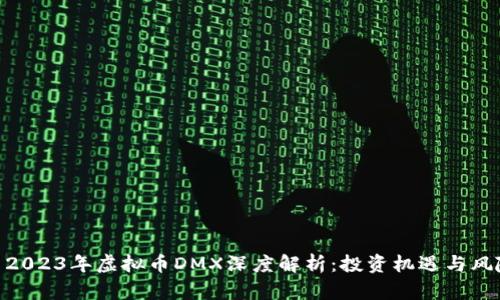 : 2023年虚拟币DMX深度解析:投资机遇与风险