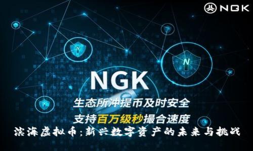 滨海虚拟币:新兴数字资产的未来与挑战