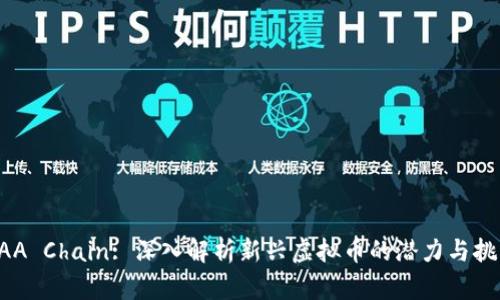AAA Chain: 深入解析新兴虚拟币的潜力与挑战