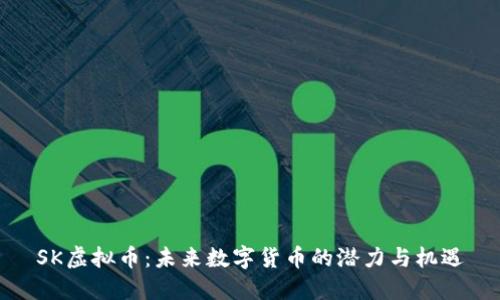 SK虚拟币:未来数字货币的潜力与机遇