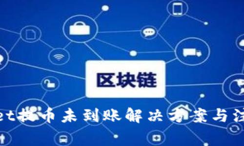 tpwallet提币未到账解决方案与注意事项