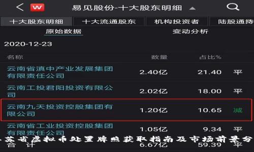 江苏省虚拟币处置牌照获取指南及市场前景分析