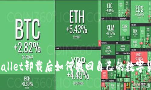 TPWallet卸载后如何找回自己的数字货币?