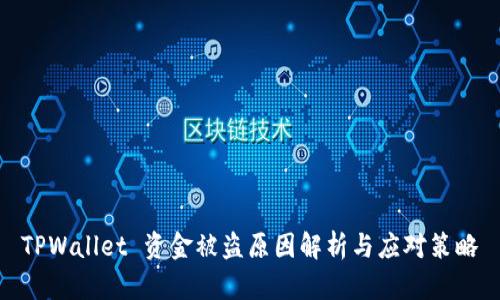 TPWallet 资金被盗原因解析与应对策略