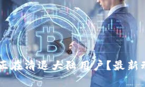 TPWallet是否正在清退大陆用户?最新动态与影响分析
