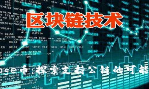 TPWallet与Doge币:探索支持公链的可能性与未来前景