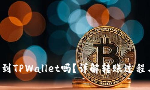LTC可以提到TPWallet吗?详解转账过程与注意事项