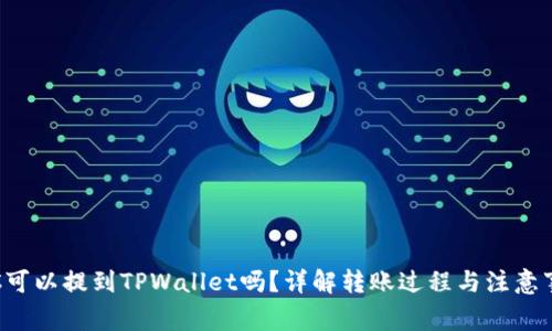 LTC可以提到TPWallet吗?详解转账过程与注意事项