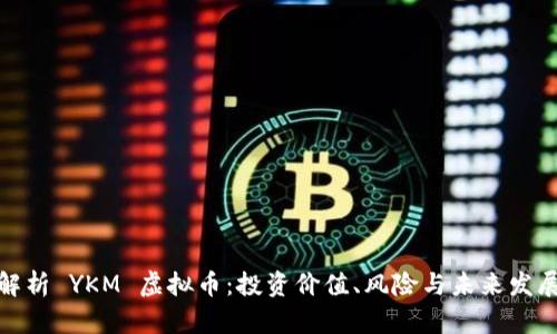 全面解析 YKM 虚拟币:投资价值、风险与未来发展趋势
