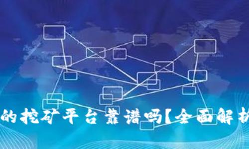 TPWallet里的挖矿平台靠谱吗?全面解析与用户指南