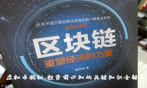 虚拟币揭秘:投资前必知的关键知识全解析
