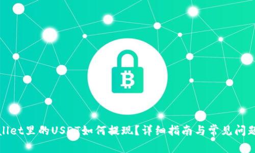 tpwallet里的USDT如何提现?详细指南与常见问题解析