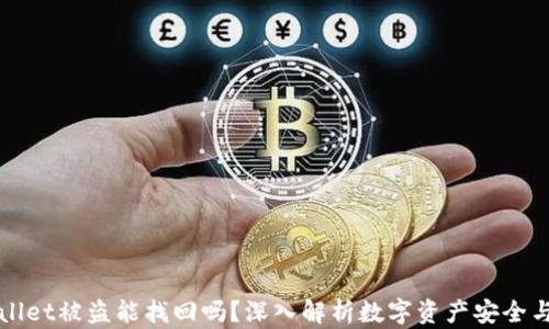 TPWallet被盗能找回吗?深入解析数字资产安全与恢复