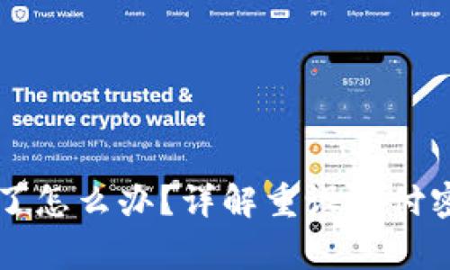 TPWallet支付密码忘了怎么办?详解重设支付密码的步骤和注意事项