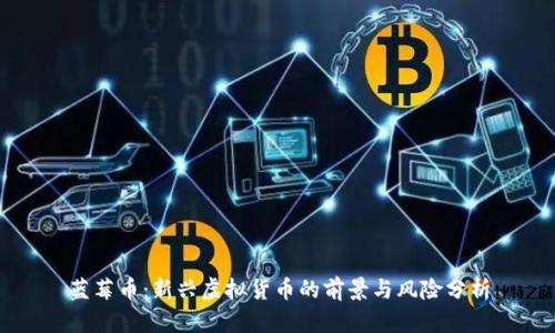 蓝莓币:新兴虚拟货币的前景与风险分析