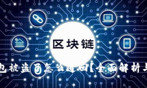 虚拟币钱包被盗了怎么追回?全面解析与应对策略