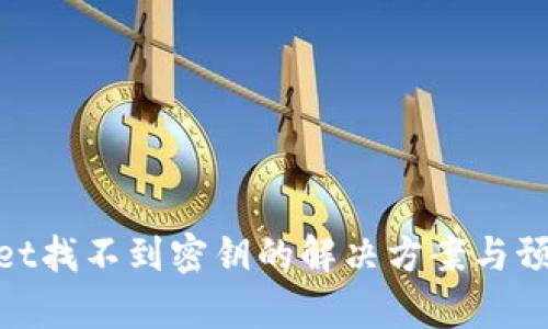 tpwallet找不到密钥的解决方案与预防措施