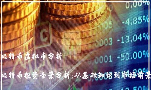 比特币虚拟币分析
比特币投资全景分析:从基础知识到市场前景
