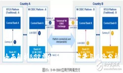 全面解析BGR虚拟币:投资前景与风险分析