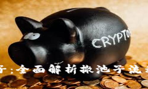 虚拟币撤池子：全面解析撤池子流程与注意事项