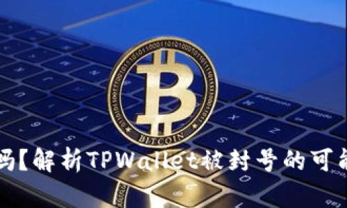 TPWallet安全吗?解析TPWallet被封号的可能性与预防措施