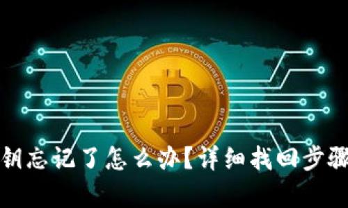 tpwallet密钥忘记了怎么办？详细找回步骤与解决方案