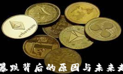 
虚拟币暴跌背后的原因与未来走势分析