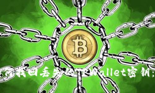 Title: 如何找回丢失的TPWallet密钥：完整指南