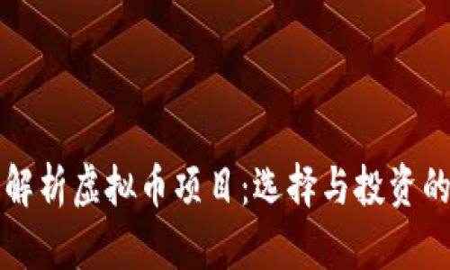 全面解析虚拟币项目：选择与投资的指南