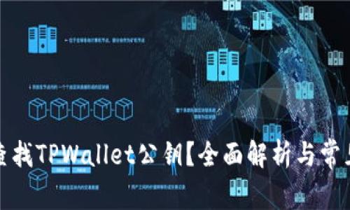 如何查找TPWallet公钥？全面解析与常见问题