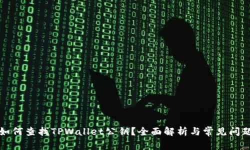 如何查找TPWallet公钥？全面解析与常见问题