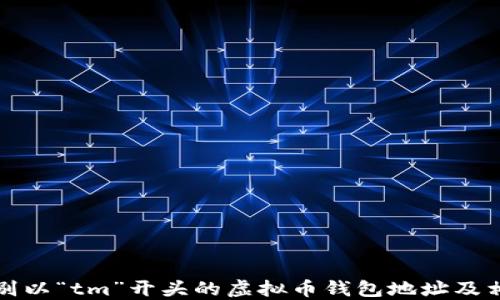 
如何识别以“tm”开头的虚拟币钱包地址及相关信息