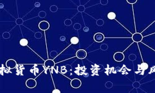 了解虚拟货币YNB：投资机会与风险解析