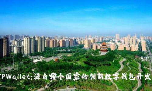 TPWallet：源自哪个国家的创新数字钱包开发？