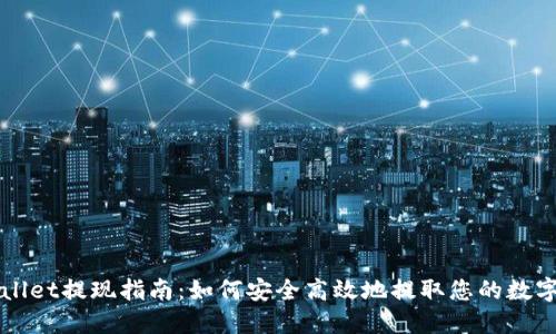 TPWallet提现指南：如何安全高效地提取您的数字资产