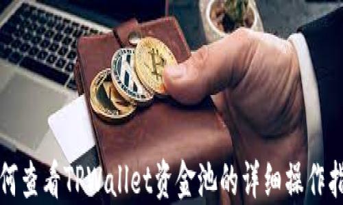 
如何查看TPWallet资金池的详细操作指南