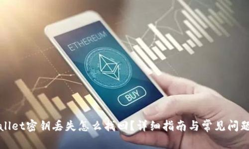 TPWallet密钥丢失怎么找回？详细指南与常见问题解答