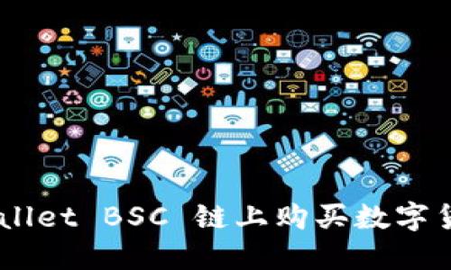 如何在TP Wallet BSC 链上购买数字货币：详细指南
