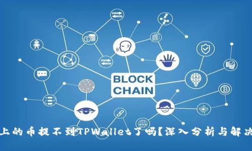 欧意上的币提不到TPWallet了吗？深入分析与解决方案