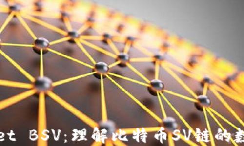 
TPWallet BSV：理解比特币SV链的数字钱包