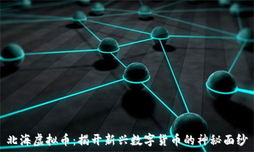   
北海虚拟币：揭开新兴数字货币的神秘面纱