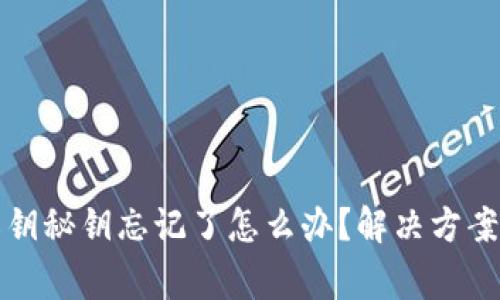 tpwallet私钥秘钥忘记了怎么办？解决方案与注意事项