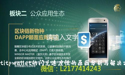 biatitpwallet的闪兑速度慢的原因分析与解决方案