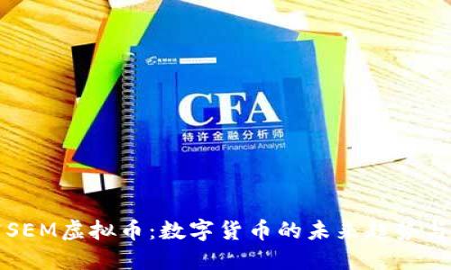 深入研究SEM虚拟币：数字货币的未来趋势与应用场景