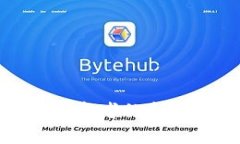 鲸鱼大饼虚拟币：投资者